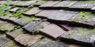 Ramsey Mereside roof repair costs
